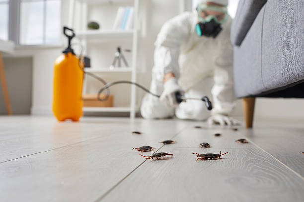 Post-Treatment Bed Bug Interceptor Monitoring in Mediapolis