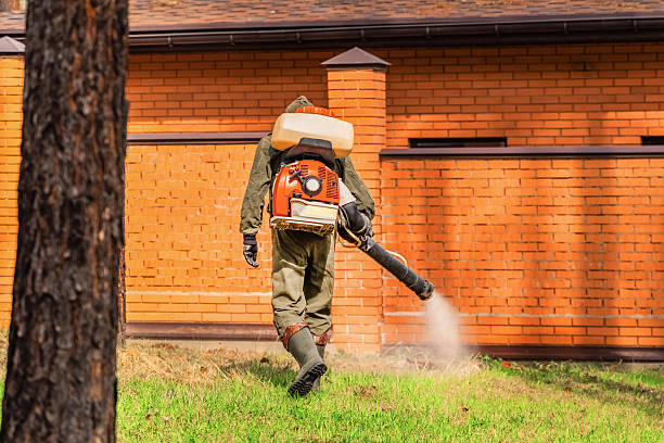 Bed Bug Clearance Verification and Documentation in Mediapolis